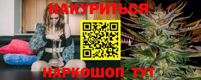 шишки Тверь