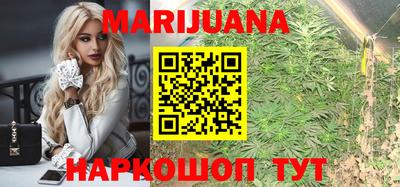 шишки Тверь