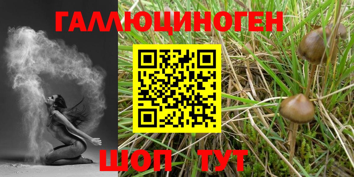 Псилоцибиновые грибы прущие грибы Новоуральск